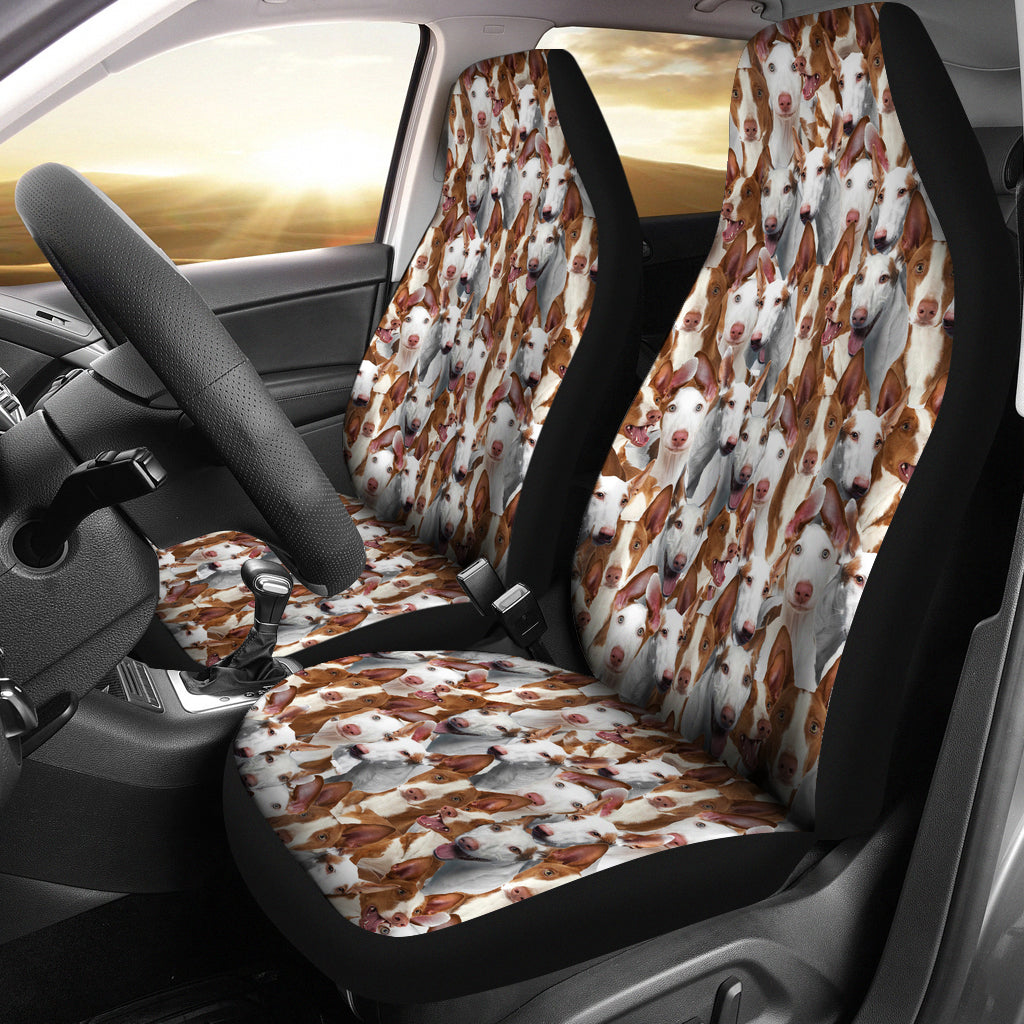 Ibizan Hound Full Face Car Seat Covers