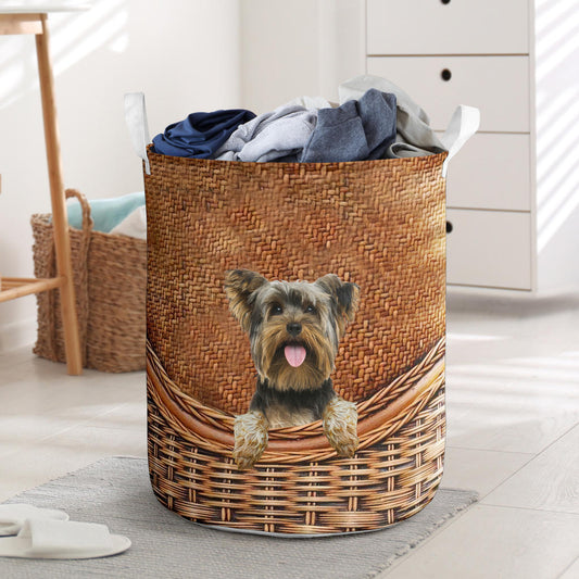 Yorkshire Terrier - Rattan - LB