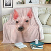 American Hairless Terrier Face Hair Blanket