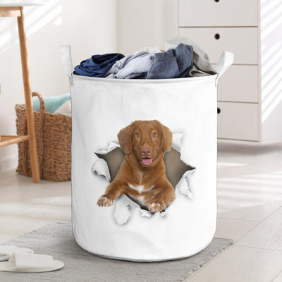 Nova FMotia Duck Tolling Retriever - Tornpaper - LB