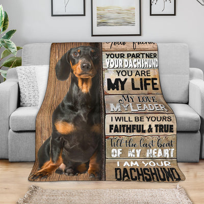 Dachshund 3-Your Partner Blanket