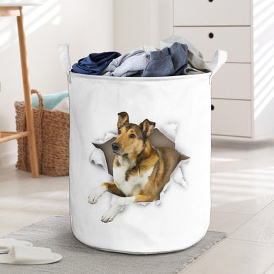 Smooth Collie - Tornpaper - LB