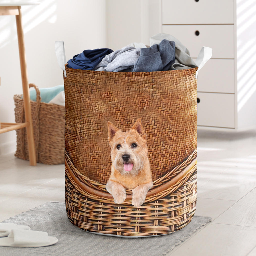 Norwich Terrier - Rattan - LB