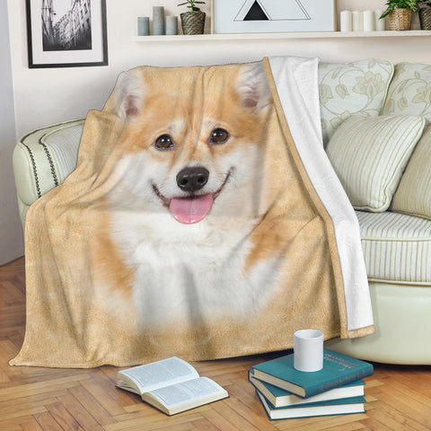 Corgi 1 Face Hair Blanket