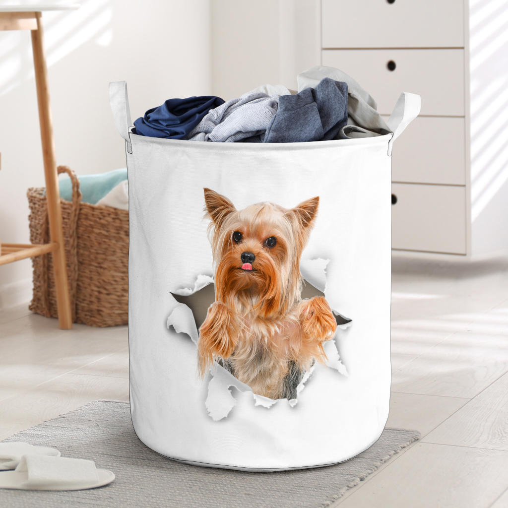 Yorkshire Terrier - Tornpaper - LB