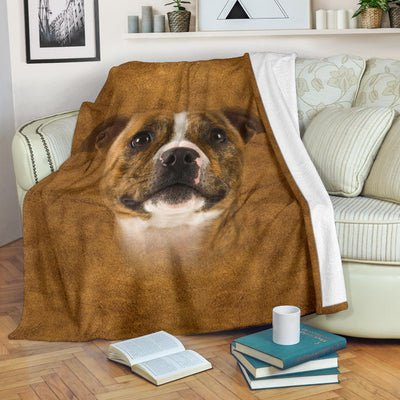 Staffordshire Bull Terrier Face Hair Blanket