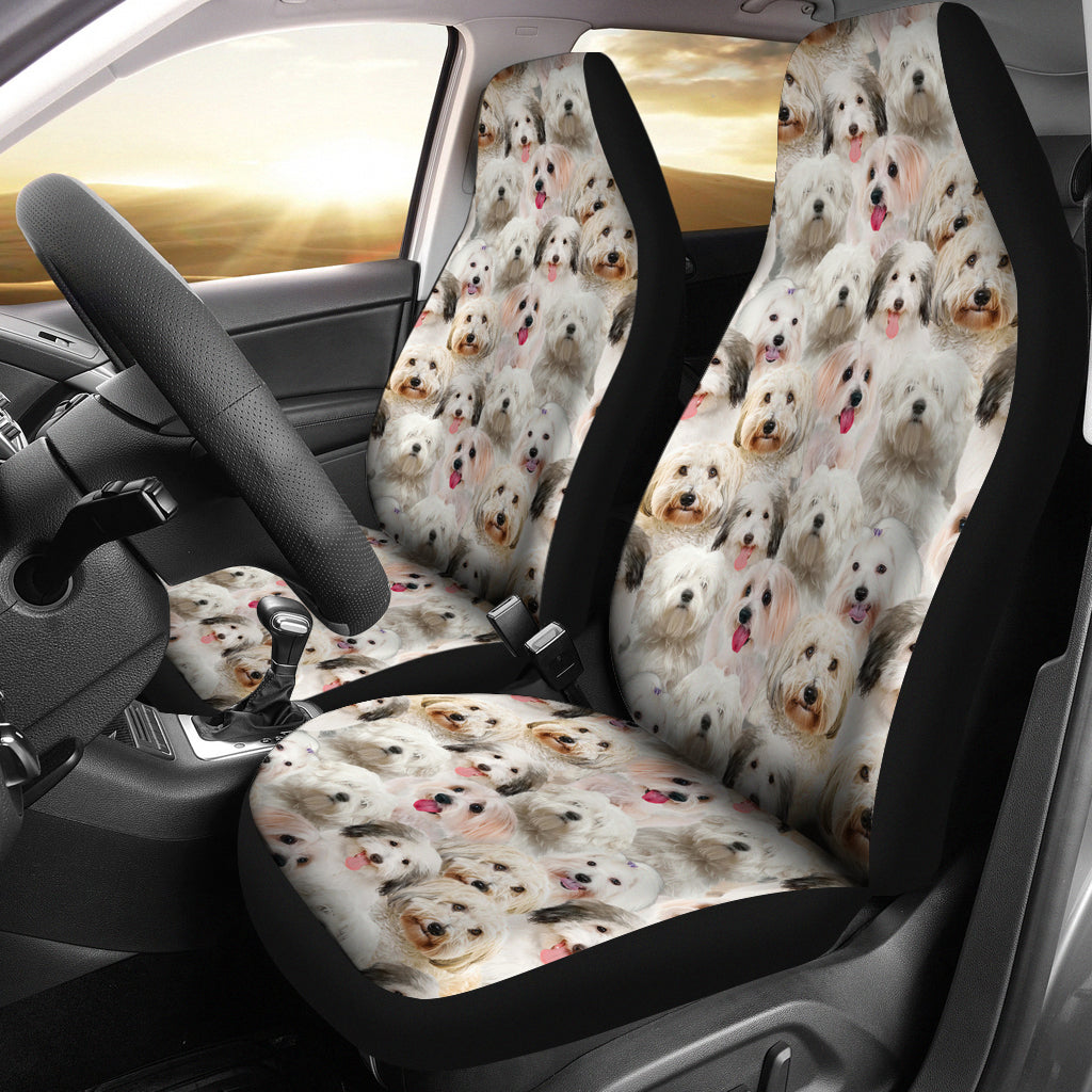 Coton de Tulear Full Face Car Seat Covers