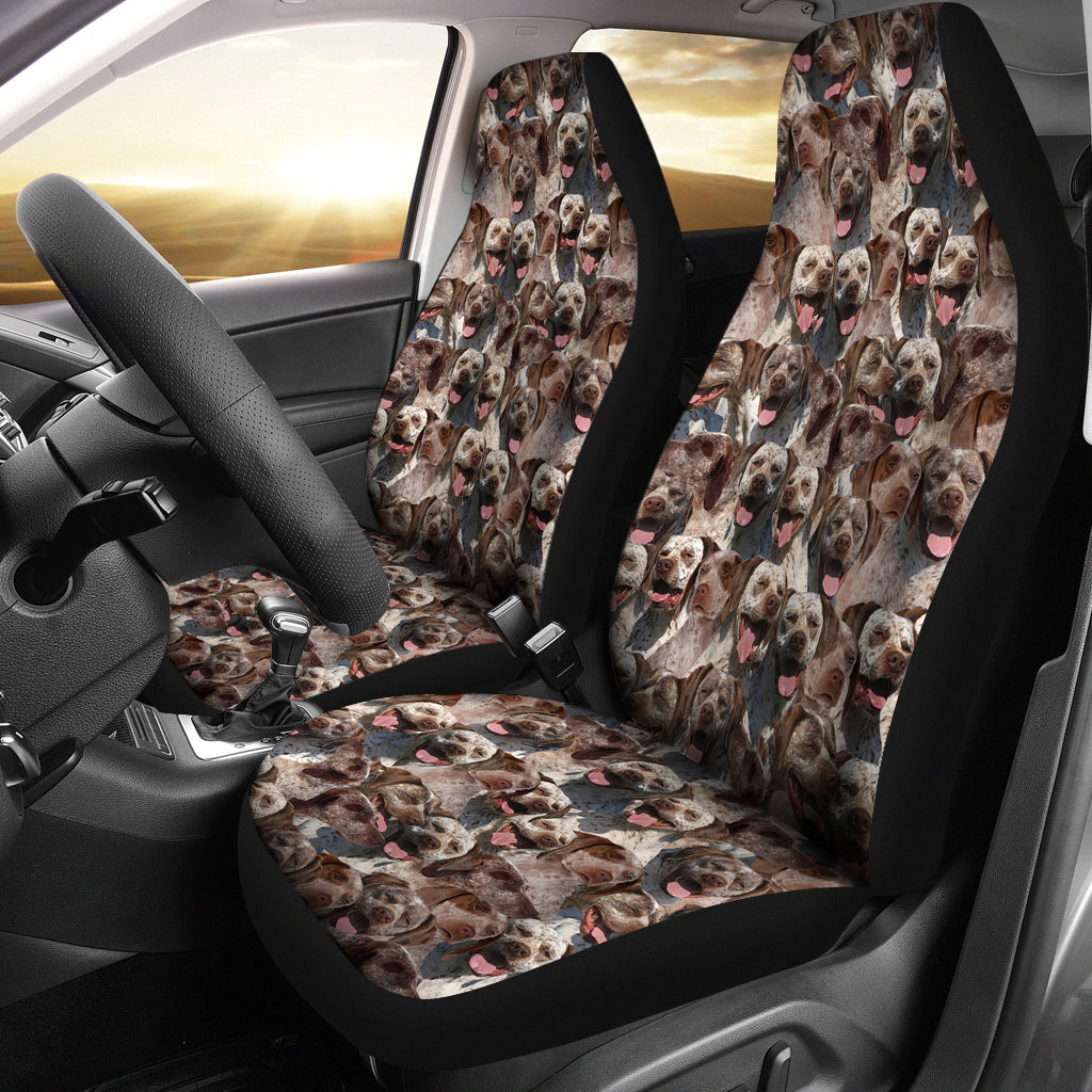 Braque du Bourbonnais Full Face Car Seat Covers