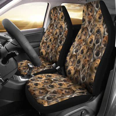 Eurazier Full Face Car Seat Covers