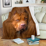 American Pit Bull Terrier Face Hair Blanket