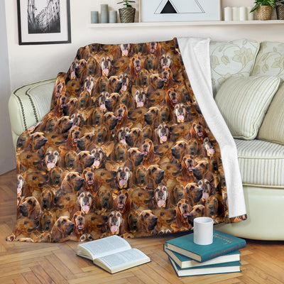 Bloodhound Full Face Blanket