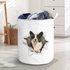 Pembroke Welsh Corgi - Tornpaper - LB