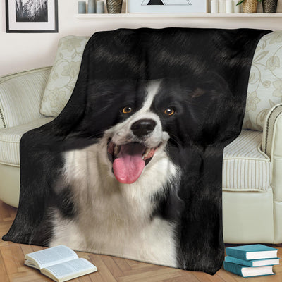 Border Collie 1 Face Hair Blanket