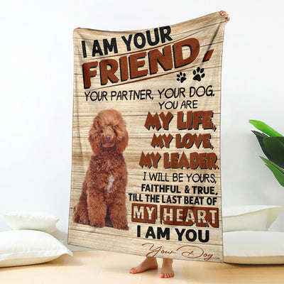 Poodle 3-My Love Blanket