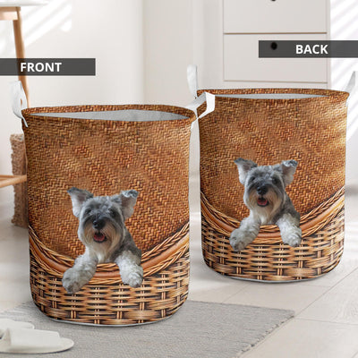 Miniature Schnauzer1 - Rattan - LB