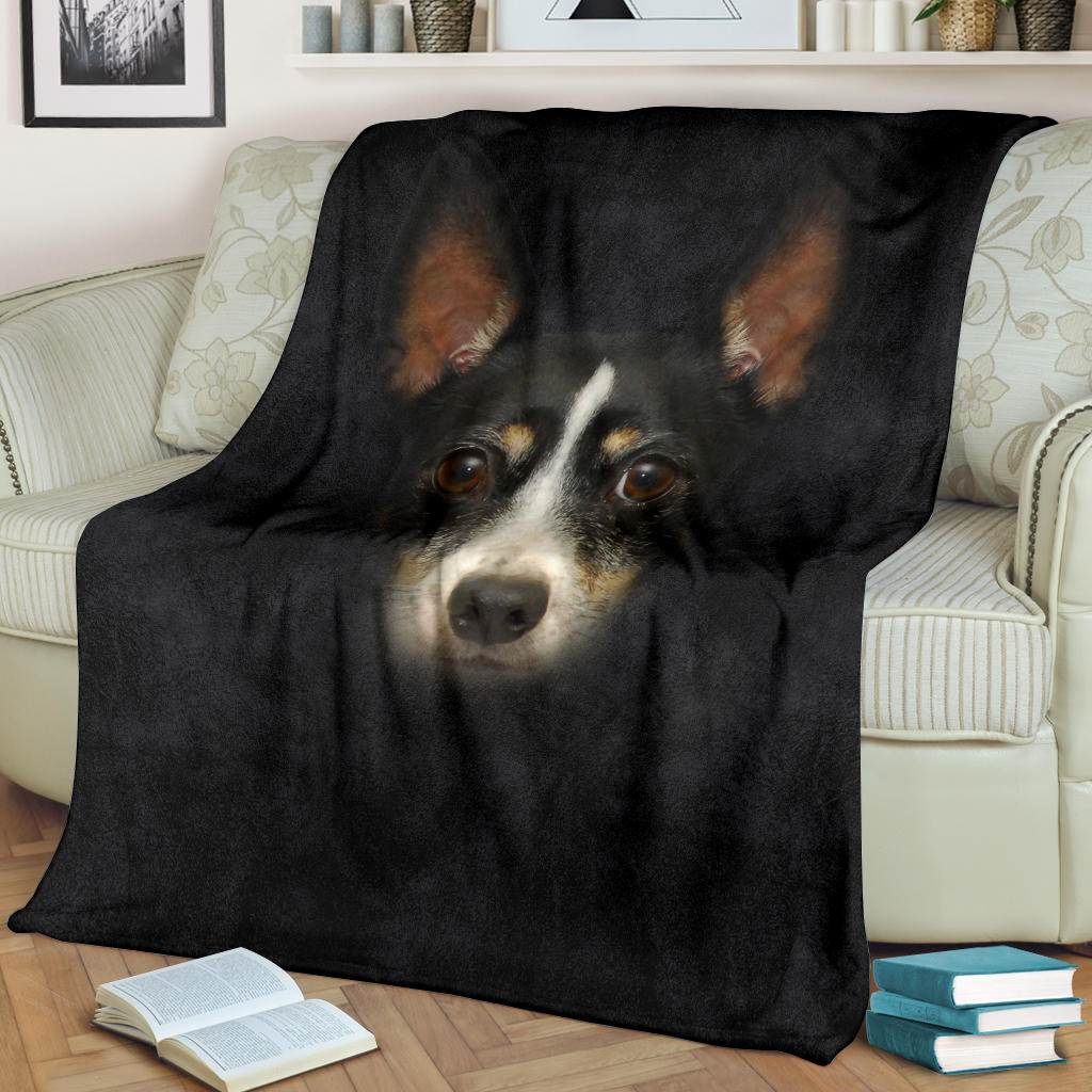 Rat Terrier Face Hair Blanket