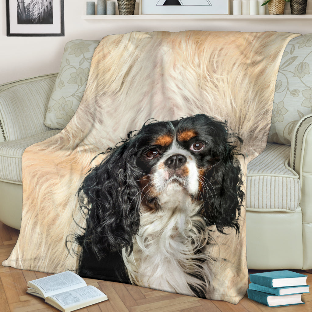 King Charles Spaniel - Blanket - 1225