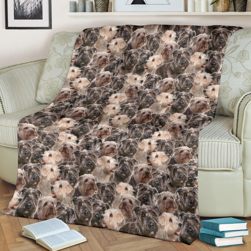 Glen of Imaal Terrier Full Face Blanket