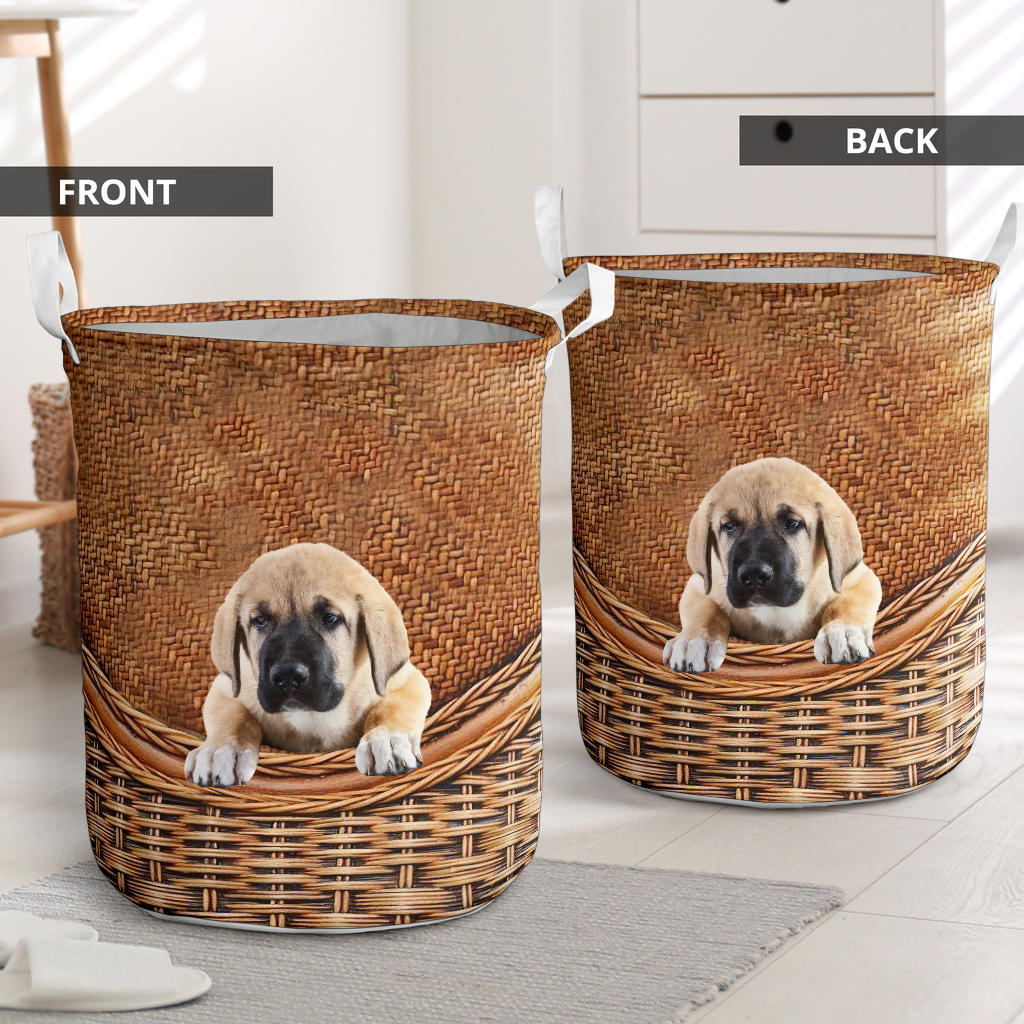 Spanish Mastiff - Rattan - LB