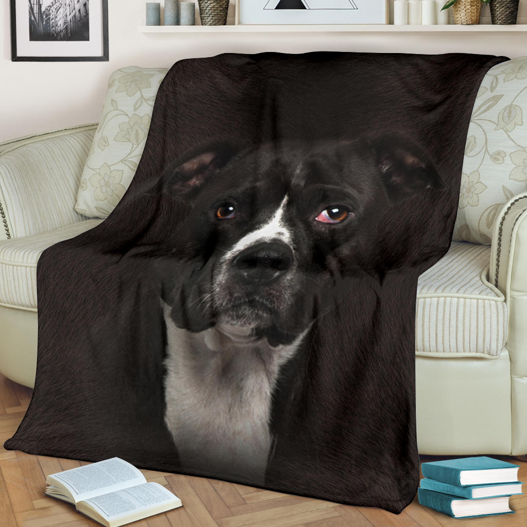 American Pitbull Terrier 2 Face Hair Blanket