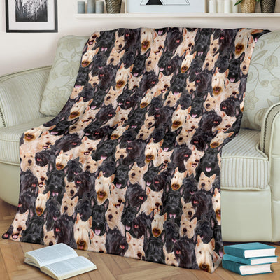 Scottish Terrier Full Face Blanket