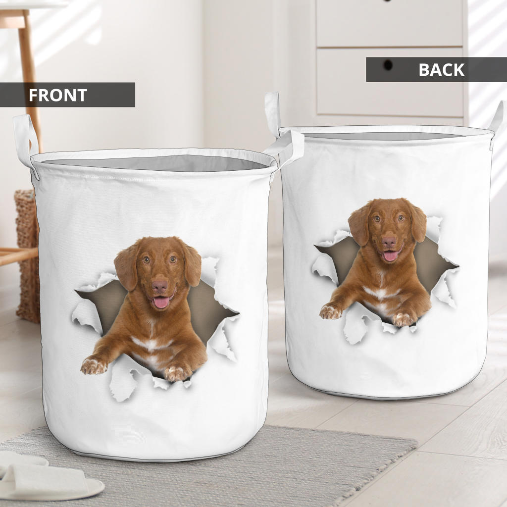 Nova FMotia Duck Tolling Retriever - Tornpaper - LB