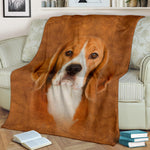 Beagle Face Hair Blanket