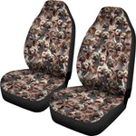 Braque du Bourbonnais Full Face Car Seat Covers