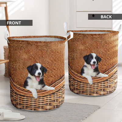 Border Collie - Rattan - LB