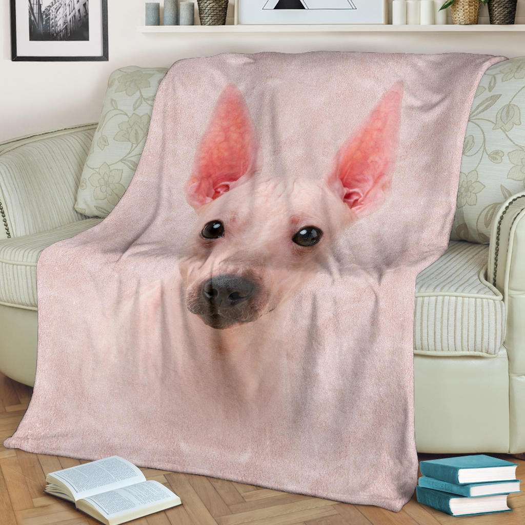 American Hairless Terrier Face Hair Blanket