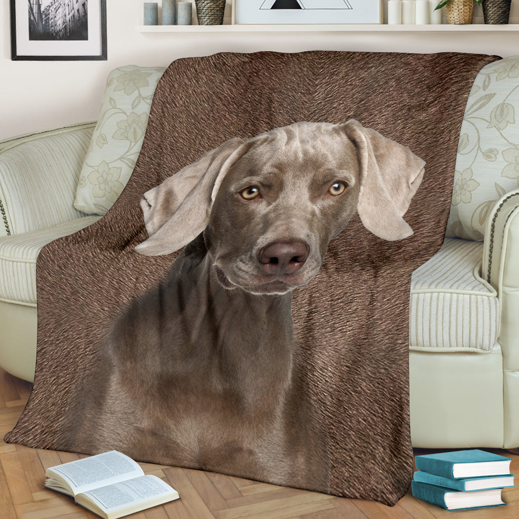 Weimaraner - Blanket - 1267