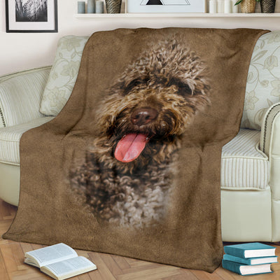 Spanish Water Dog Face Hair Blanket