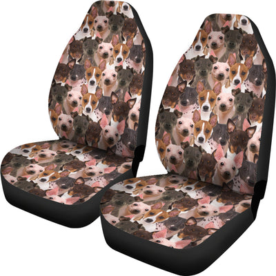 American Hairless Terrier Full Face Car Seat Covers