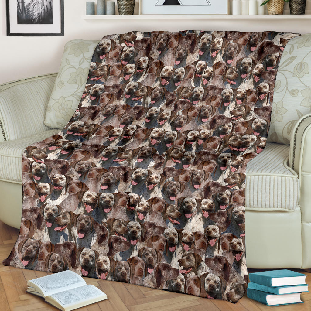 Braque du Bourbonnais Full Face Blanket