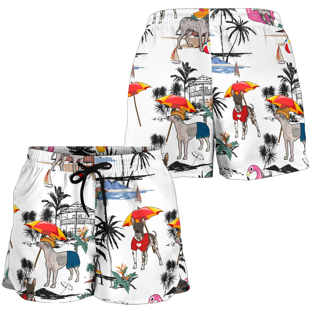 American Hairless Terrier-Summer Beach-SW