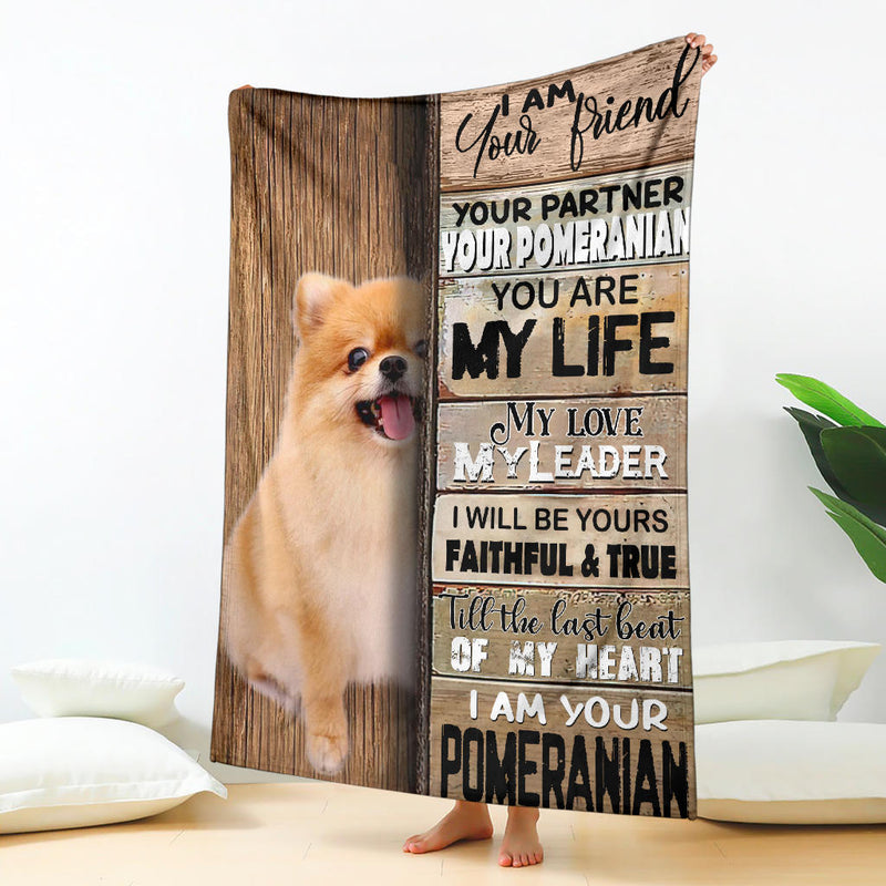 Pomeranian-Your Partner Blanket