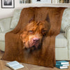 American Pit Bull Terrier Face Hair Blanket