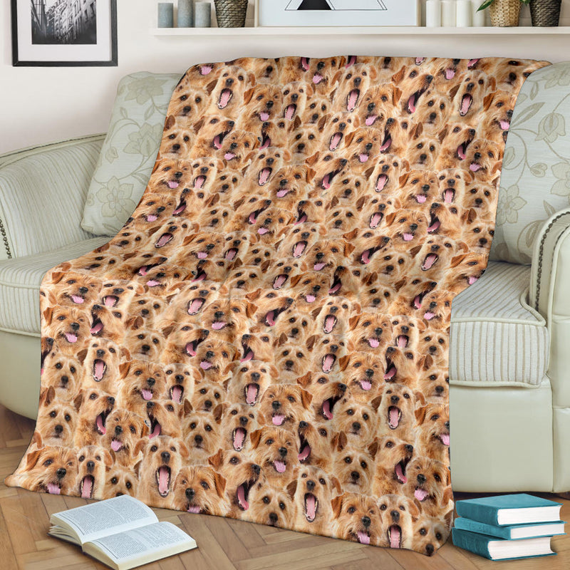 Norfolk Terrier Full Face Blanket