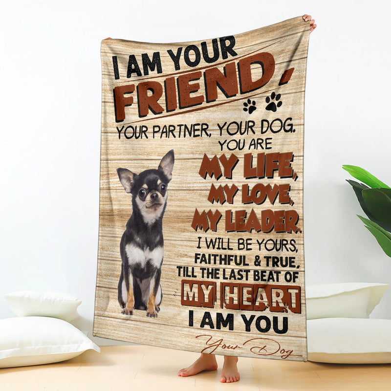 Chihuahua 3-My Love Blanket