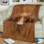 Nova Scotia Duck Tolling Retriever Face Hair Blanket