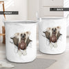 Chinese Crested - Tornpaper - LB