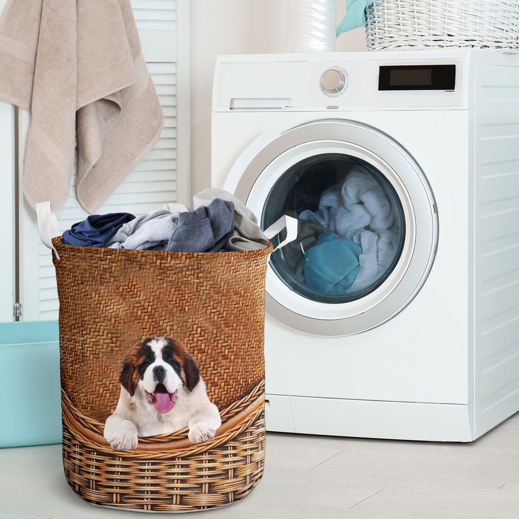 St Bernard - Rattan - LB