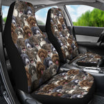 Spanish Water Dog Full Face Car Seat Covers
