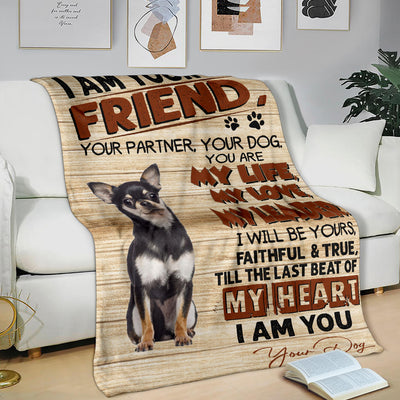 Chihuahua 3-My Love Blanket