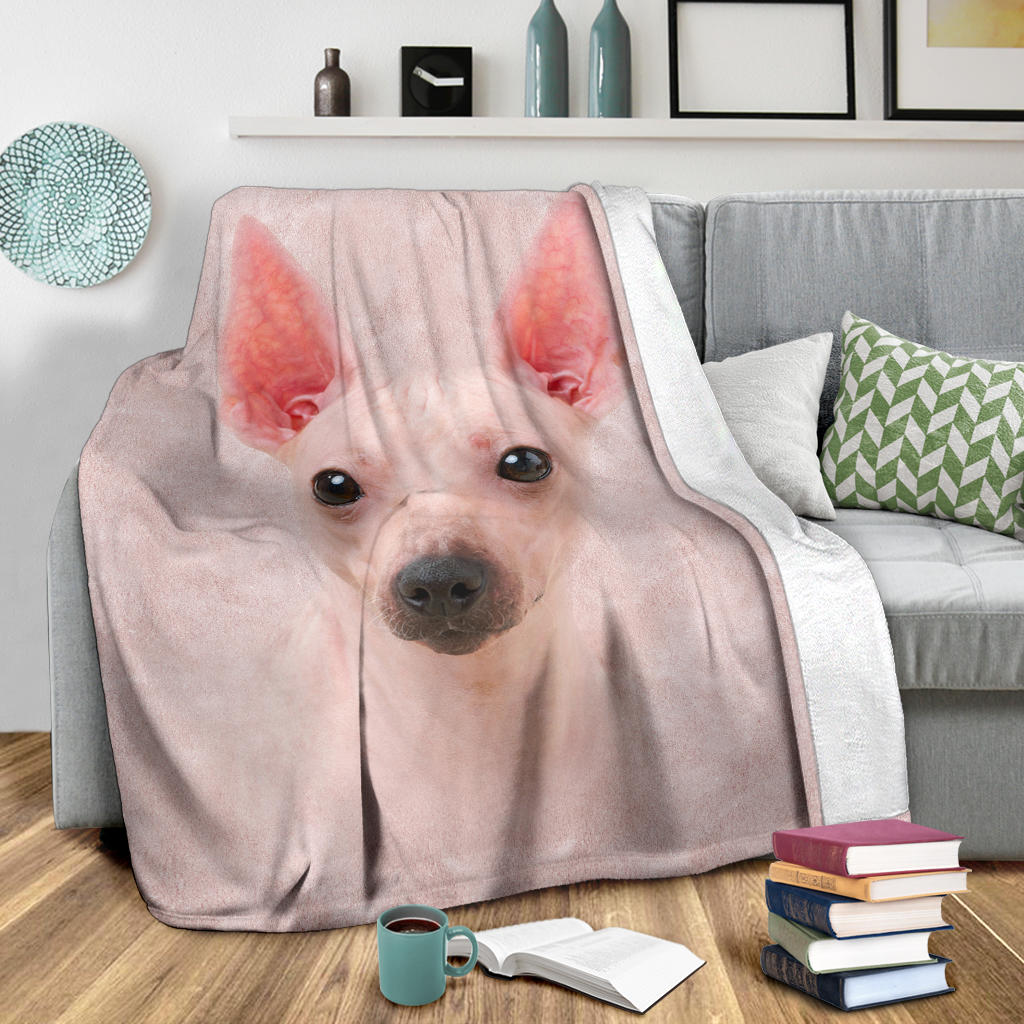 American Hairless Terrier Face Hair Blanket