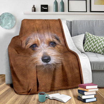 Norfolk Terrier Face Hair Blanket