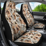 Soft Coated Wheaten Terrier Full Face Car Seat Covers