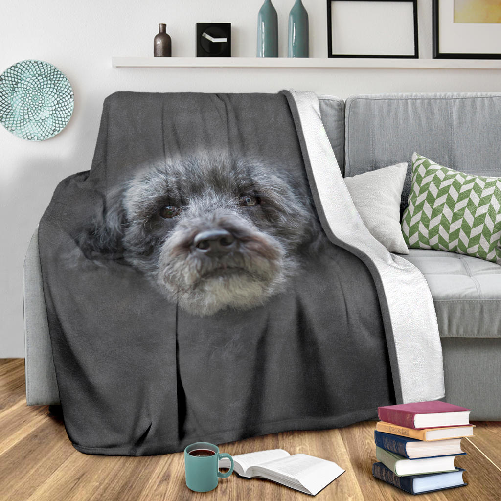 Schnoodle Face Hair Blanket