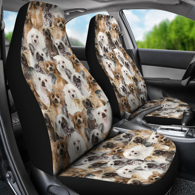 Chinese Crested Dog Full Face Car Seat Covers