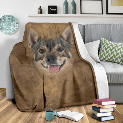 Swedish Vallhund Face Hair Blanket